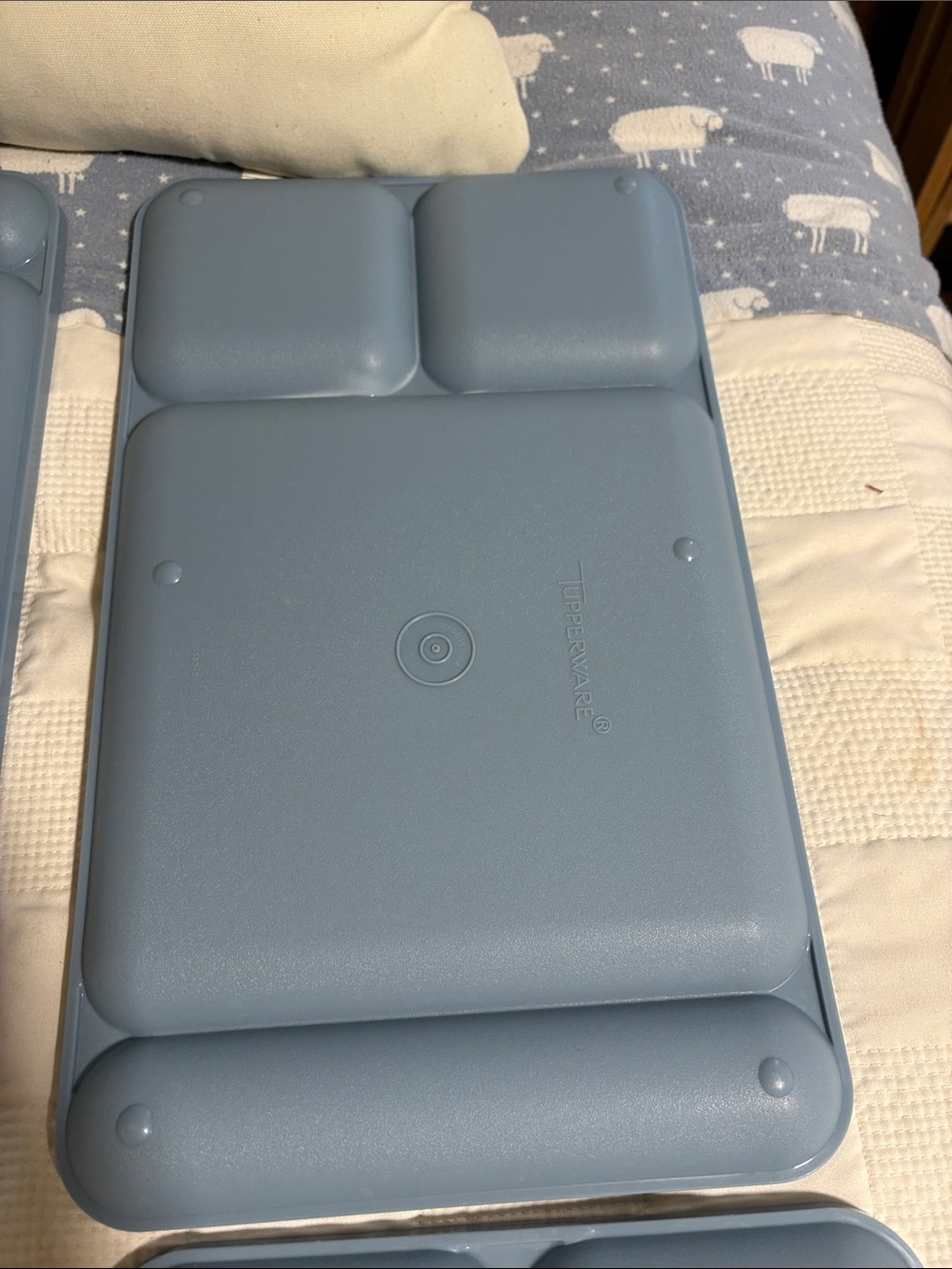 Tupperware Light Blue Four-Compartment Meal Tray - Picture 10 of 14